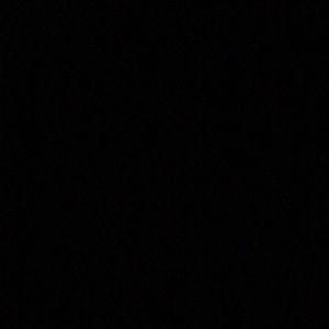 Meet your Posher, Jena